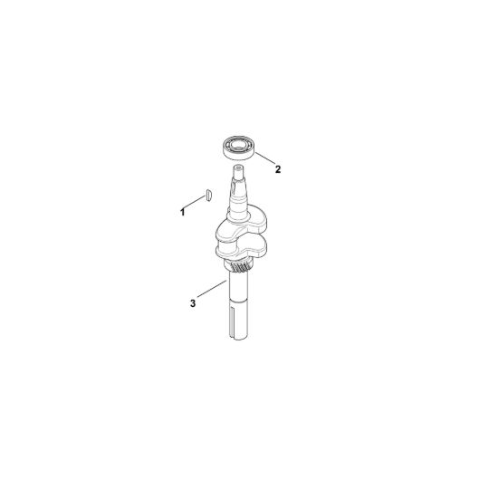 Picture of D - Albero a gomito XT-800 (XT800-3089)